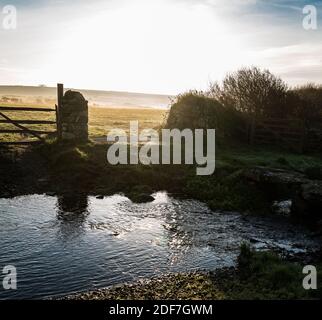 Lever de soleil d'hiver brumeux sur les terres agricoles de Pembrokeshire Banque D'Images