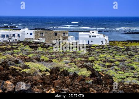 Espagne, îles Canaries, Lanzarote, village et port d'Orzola Banque D'Images