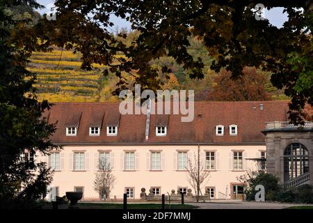 France, Haut Rhin, Guebwiller, Château de Neuenbourg, ancien château des princes-abbés puis villa industrielle, aujourd'hui centre culturel et touristique Banque D'Images