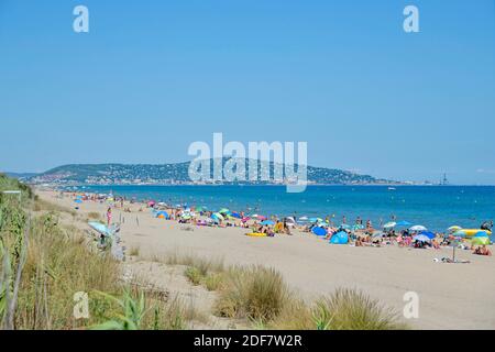 France, Herault, Sète, Lido Beach, vacanciers sur une plage avec le Mont Saint-clair en arrière-plan Banque D'Images