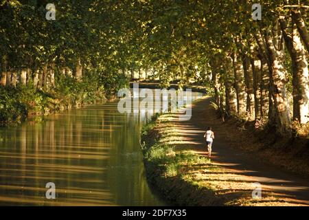 France, Aude, Trebes, en 2012 les Français Banque D'Images