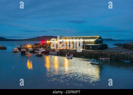 Lyme Regis, Dorset, Royaume-Uni. 3 décembre 2020. Météo Royaume-Uni. Les lumières de Noël festives sur l'aquarium marin au port de Cobb à Lyme Regis à Dorset se reflètent dans l'eau au crépuscule. Crédit photo : Graham Hunt/Alamy Live News Banque D'Images