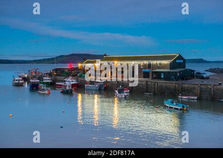 Lyme Regis, Dorset, Royaume-Uni. 3 décembre 2020. Météo Royaume-Uni. Les lumières de Noël festives sur l'aquarium marin au port de Cobb à Lyme Regis à Dorset se reflètent dans l'eau au crépuscule. Crédit photo : Graham Hunt/Alamy Live News Banque D'Images