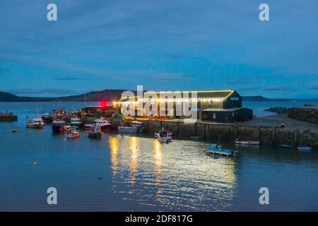 Lyme Regis, Dorset, Royaume-Uni. 3 décembre 2020. Météo Royaume-Uni. Les lumières de Noël festives sur l'aquarium marin au port de Cobb à Lyme Regis à Dorset se reflètent dans l'eau au crépuscule. Crédit photo : Graham Hunt/Alamy Live News Banque D'Images