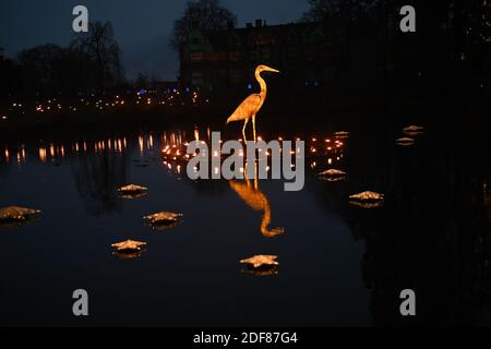 Wakehurst , Haywards Heath UK 3 décembre 2020 - les visiteurs apprécient la nuit d'ouverture de la piste de lanterne Glow Wild à Wakehurst, dans le Sussex, qui célèbre cette année les héros cachés du monde naturel. Les points forts incluent des têtes géantes flottantes de graines de pissenlit, un champ de champignons de conte de fées, et le plus grand arbre de Noël du Royaume-Uni : Credit Simon Dack / Alamy Live News Banque D'Images