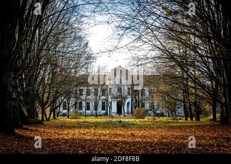 Ancien palais abandonné, manoir dans la forêt d'automne Banque D'Images