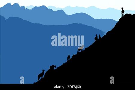 Silhouettes noires de chamois grimpant en montée, montagnes en arrière-plan. Illustration. Illustration de Vecteur