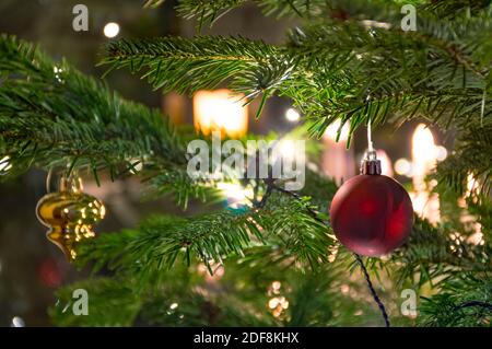 Magnifique sapin de Noël avec ornements, lumières chaudes jaunes et boules dorées et rouges, fond de Noël, gros plan Banque D'Images