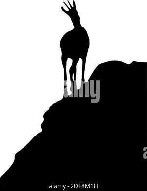 Silhouette noire de chamois debout sur le sommet de la colline. Isolé sur fond blanc. Illustration. Illustration de Vecteur