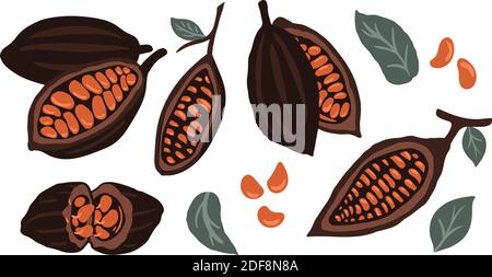 Grains de cacao de couleur brune bio dessinés à la main avec des feuilles vertes vecteur icône ensemble isolé sur fond blanc pour l'emballage de boisson au chocolat et au chocolat. Illustration vectorielle Illustration de Vecteur