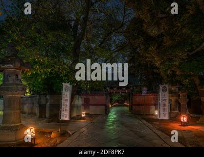 tokyo, japon - novembre 10 2020 : chemin éclairé la nuit menant à la porte Mizuyamon du sanctuaire d'Ueno Toshogu et orné de lanternes en pierre Banque D'Images