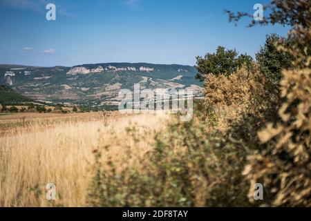 Paysage près de Roquefort-sur-Soulzon, France, Europe. Banque D'Images