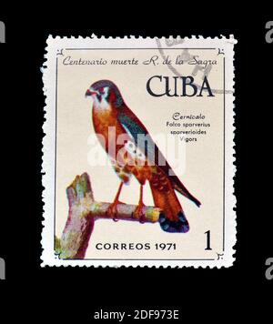 Timbre-poste annulé imprimé par Cuba, qui montre American Kestrel (Falco sparverius), vers 1971. Banque D'Images