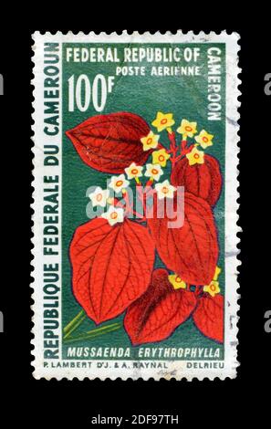 Timbre-poste annulé imprimé par le Cameroun, qui montre la fleur de Mussaenda erythrophylla communément connue sous le nom de sang d'Ashanti, vers 1970. Banque D'Images