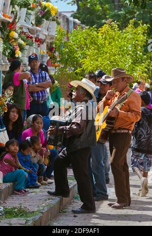 LES MUSICIENS jouent les chansons préférées de leurs proches en les accueillant de nouveau sur terre pendant LA JOURNÉE DES MORTS - SAN MIGUEL DE ALLENDE, MEXIQUE Banque D'Images