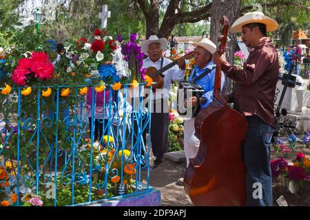 LES MUSICIENS jouent les chansons préférées de leurs proches en les accueillant de nouveau sur terre pendant LA JOURNÉE DES MORTS - SAN MIGUEL DE ALLENDE, MEXIQUE Banque D'Images