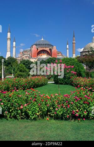 Jardins fleuris et Ayasofya Camii (cathédrale Sainte-Sophie) - église byzantine construite à l'origine en 537 après J.-C. et finalement convertie en mosquée - Istanbul Banque D'Images