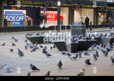 De nombreux Pigeons occupaient un trottoir à l'extérieur du magasin House of Fraser, affichant un énorme signe de réduction de moitié de prix lors des offres du Vendredi fou, à Londres, au Royaume-Uni Banque D'Images