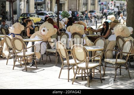 Après la fermeture des restaurants et du bar pendant la période de confinement liée au covid-19, le nouveau coronavirus. Les bars et les restaurants ont été autorisés à rouvrir le mardi 2 juin 2020. Pour appliquer des mesures sanitaires, le bar 'chez Fred' avait l'idée de placer de grands ours en peluche. À Bordeaux, France. Photo de Thibaud Moritz/ABACAPRESS.COM Banque D'Images