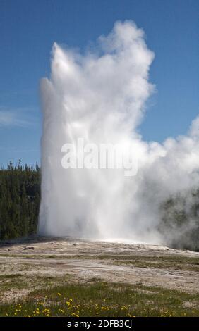 LE GEYSER VIEUX FIDÈLE éclate toutes les heures en envoyant jusqu'à 8,400 gallons d'eau bouillante 184 pieds dans l'air - PARC NATIONAL DE YELLOWSTONE, WYOMING Banque D'Images