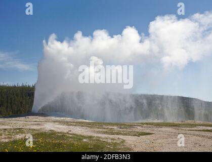 LE GEYSER VIEUX FIDÈLE éclate toutes les heures en envoyant jusqu'à 8,400 gallons d'eau bouillante 184 pieds dans l'air - PARC NATIONAL DE YELLOWSTONE, WYOMING Banque D'Images