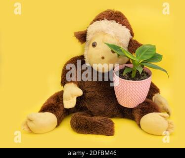 Singe en peluche avec une plante de banane sur fond jaune. Banque D'Images