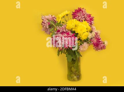 Un bouquet de chrysanthèmes rouges et jaunes sur fond jaune. Banque D'Images
