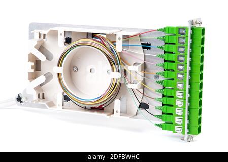 Cadre de distribution de fibre optique isolé sur fond blanc Banque D'Images