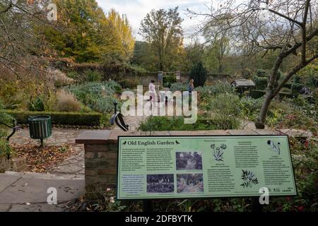 The Old English Garden in the Rookery at Streatham Common le 9 novembre 2020 à Londres au Royaume-Uni. Photo de Sam Mellish Banque D'Images