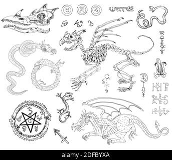Bacilles mystiques avec dessins occultes. Illustration gravée à la main, Halloween et concept ésotérique Illustration de Vecteur