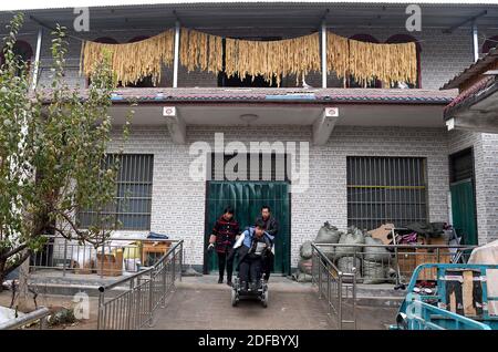 (201204) -- ZHENGZHOU, 4 décembre 2020 (Xinhua) -- Sun Yahui et ses membres de la famille sont en route pour le streaming dans le village de Yangzhuang, à Xinxiang, dans la province de Henan en Chine centrale, le 2 décembre 2020. « Bonjour, tout le monde ! Aujourd'hui, je vais vous montrer comment creuser des racines de lotus dans le village de mon oncle. Comme un nouveau jour a commencé, Sun Yahui a mis le téléphone portable prêt avec son membre gauche et a commencé son streaming. Sun Yahui, 26 ans, a perdu les deux bras et s'est paralysé en raison de blessures électriques il y a 4 ans. « Je pensais que j'étais inutile. » L'accident a laissé des blessures sur son corps et des cicatrices émotionnelles sur son esprit. Pour traiter ses blessures, Sun's. Banque D'Images