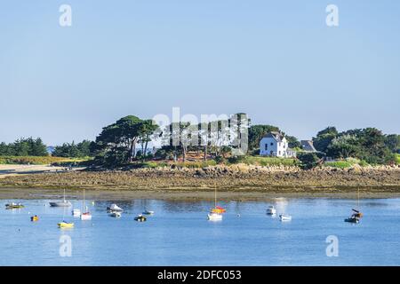 France, Finistère, Carantec le long du sentier de randonnée GR 34 ou du sentier des douanes, île de Callot Banque D'Images