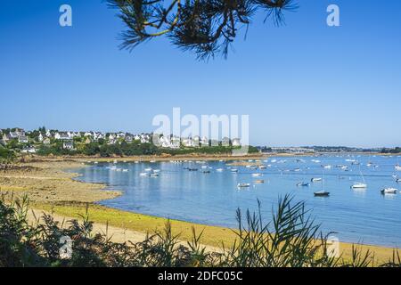 France, Finistère, Carantec le long du sentier de randonnée GR 34 ou du sentier des douanes, plage Cosmeur Banque D'Images