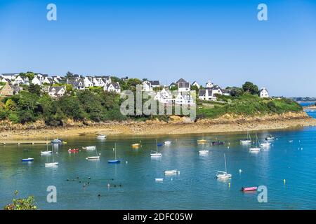 France, Finistère, Carantec le long du sentier de randonnée GR 34 ou du sentier des douanes Banque D'Images