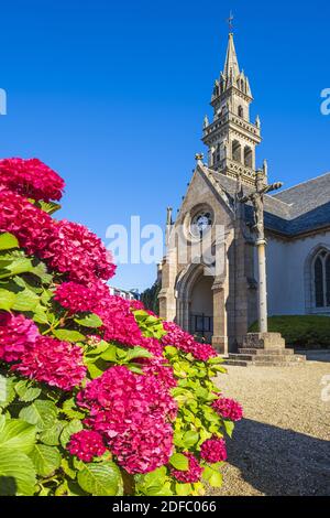 France, Finistère, Carantec le long du sentier de randonnée ou du sentier de douane GR 34, église Saint-Carantec du XVIe siècle Banque D'Images