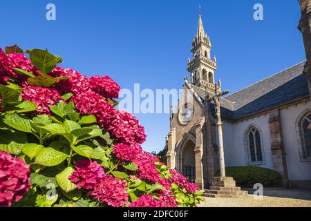 France, Finistère, Carantec le long du sentier de randonnée ou du sentier de douane GR 34, église Saint-Carantec du XVIe siècle Banque D'Images