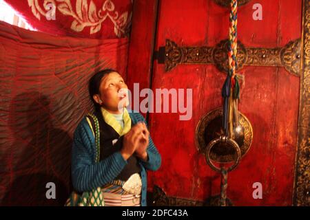 Chine, Tibet, faisant Kora autour du temple de Jokhang à Lhassa, peuple tibétain priant Banque D'Images