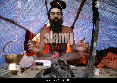 Inde, Uttar Pradesh, Allahabad, Sangam, portrait d'un naga baba (sadhu, hindoué ascétique) pendant le festival Kumbh Mela en février 2013 Banque D'Images