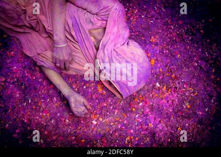 Inde, veuve indienne célébrant Holi Vrindavan Banque D'Images