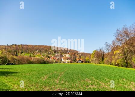 Impressions du village et du palais et monastère de Bebenhausen près de Tübingen, Bade-Wurtemberg, Allemagne. Banque D'Images