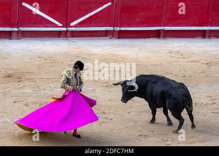 France, Gard, Nîmes, Feria des Vendanges, corrida, El Rafi Banque D'Images