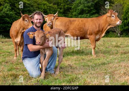 XAVIER CARRE, AGRICULTEUR DE LA GC LIMOUSIN, LES BOTTEREAUX, EURE, NORMANDIE, FRANCE, EUROPE Banque D'Images