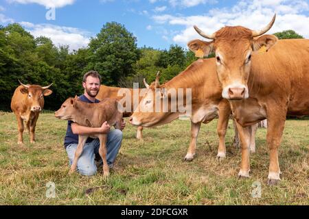 XAVIER CARRE, AGRICULTEUR DE LA GC LIMOUSIN, LES BOTTEREAUX, EURE, NORMANDIE, FRANCE, EUROPE Banque D'Images