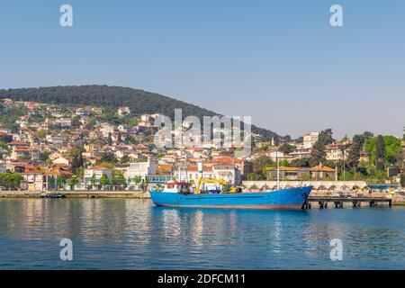 Vue sur l'île Heybeliada de la mer avec des maisons d'été. L'île est la deuxième plus grande des quatre îles appelées Princes dans la mer de Marmara, près d'Istanbul, Turquie Banque D'Images