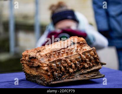 Schleswig, Allemagne. 04e décembre 2020. La machine de chiffrement Enigma qui se trouve dans la mer Baltique est située sur une table devant le bureau archéologique du Schleswig-Holstein. La machine a été remise au bureau par le plongeur de recherche Huber après sa découverte. Credit: Axel Heimken/dpa/Alay Live News Banque D'Images