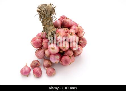 Bouquet d'oignons rouges isolés sur fond blanc. Banque D'Images