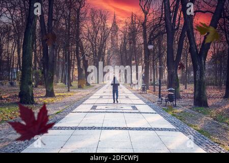Allée du parc d'automne avec beau ciel de lever de soleil. Scène d'automne dans le parc de la ville avec feuilles d'automne, arbres et homme marchant sur le chemin. Banque D'Images