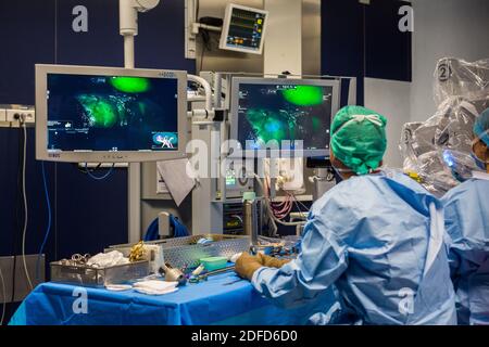 La chirurgie rénale conservatrice robotique guidée par l'image assistée par la modélisation 3D, cette modélisation 3D du rein avec sa tumeur située en violet, guide les s. Banque D'Images