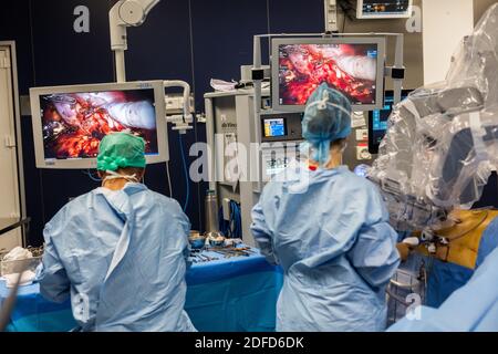 La chirurgie rénale conservatrice robotique guidée par l'image assistée par la modélisation 3D, cette modélisation 3D du rein avec sa tumeur située en violet, guide les s. Banque D'Images