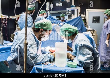 Enlèvement de rein par laparoscopie d'un donneur vivant apparenté, le chirurgien récupère et prépare le rein stocké dans une solution froide en attendant le Banque D'Images